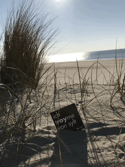 Eine sonnige Strandszene mit hohem Gras im Vordergrund und dem Meer im Hintergrund. Auf einem kleinen schwarzen Schild im Sand steht „ich träume von sylt“. Der Himmel ist klar und das Sonnenlicht spiegelt sich im Wasser.